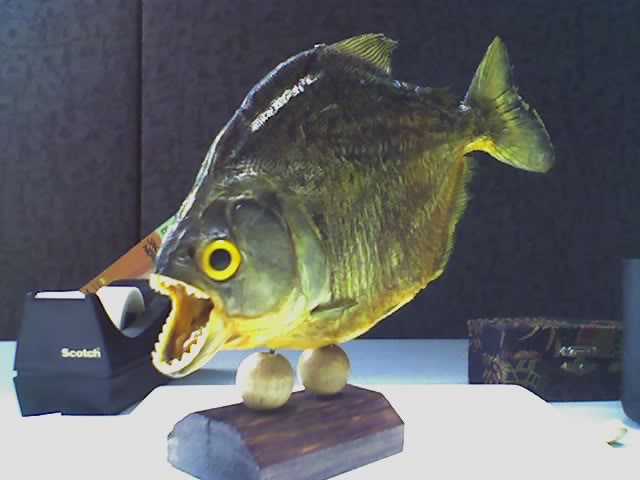 stuffed piranhna
