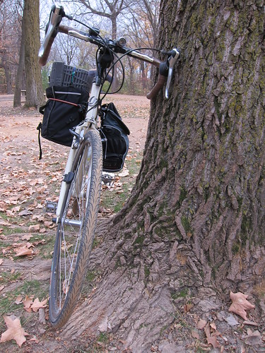 Fully loaded: Front View