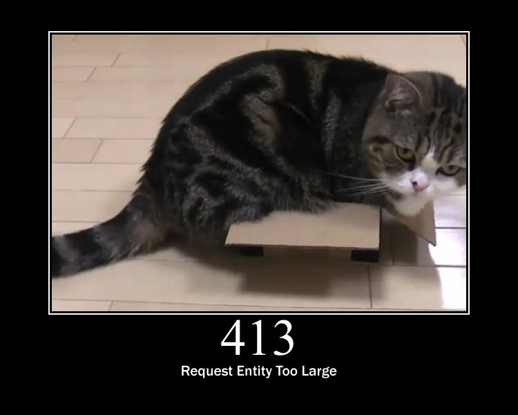 Maru: Request Entity Too Large