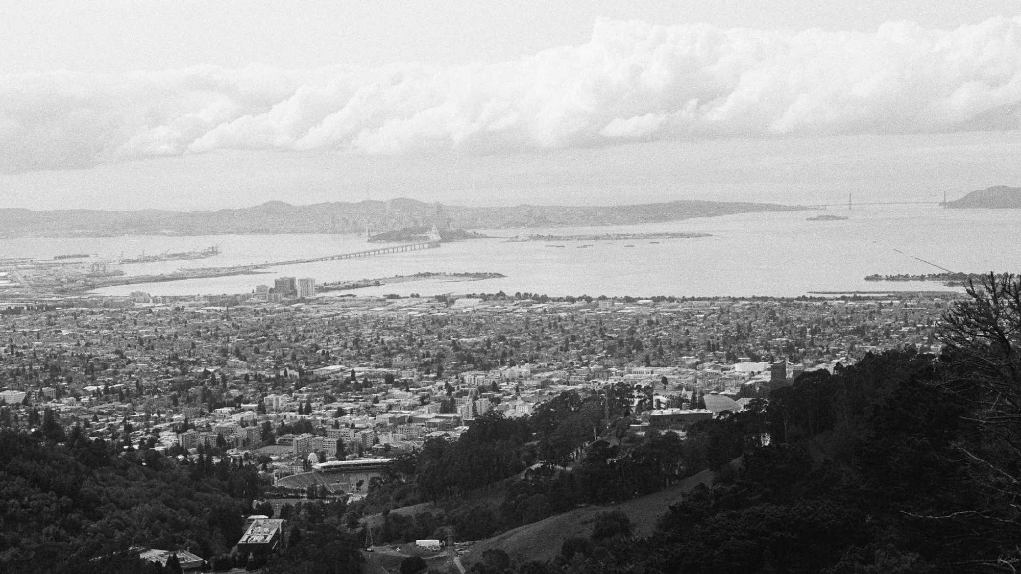 San Francisco Bay from the UC Berkeley Botanical Garden, March 2020