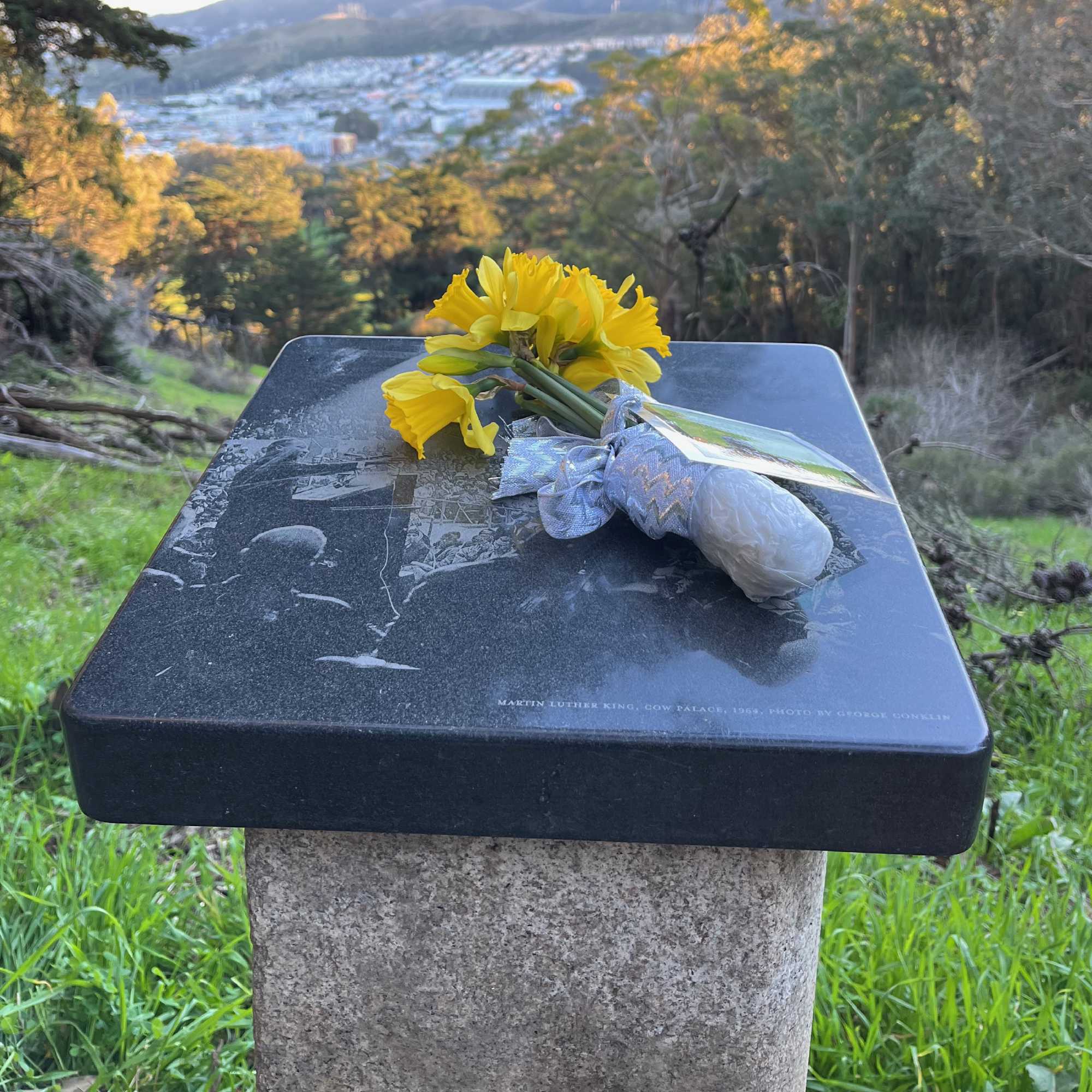 Plaque on Philosopher's Way memorializing Martin Luther King, with flowers